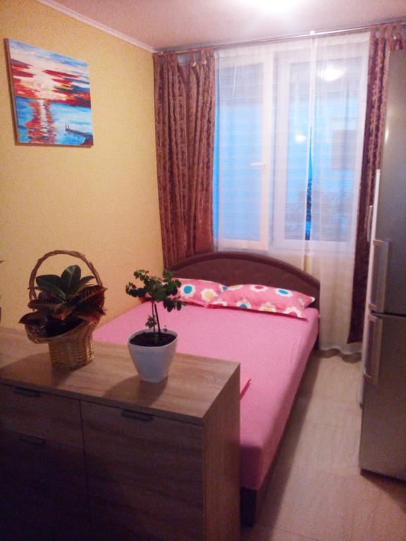 Apartments Vis Jaz Budua Esterno foto
