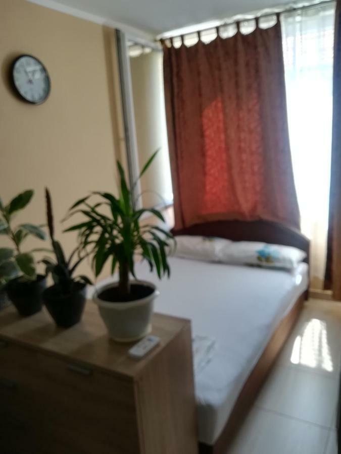 Apartments Vis Jaz Budua Esterno foto